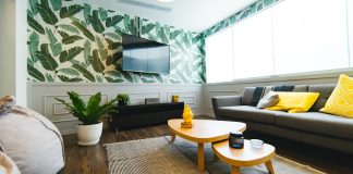 photo of flat screen television