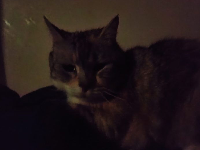 Tigger not happy
